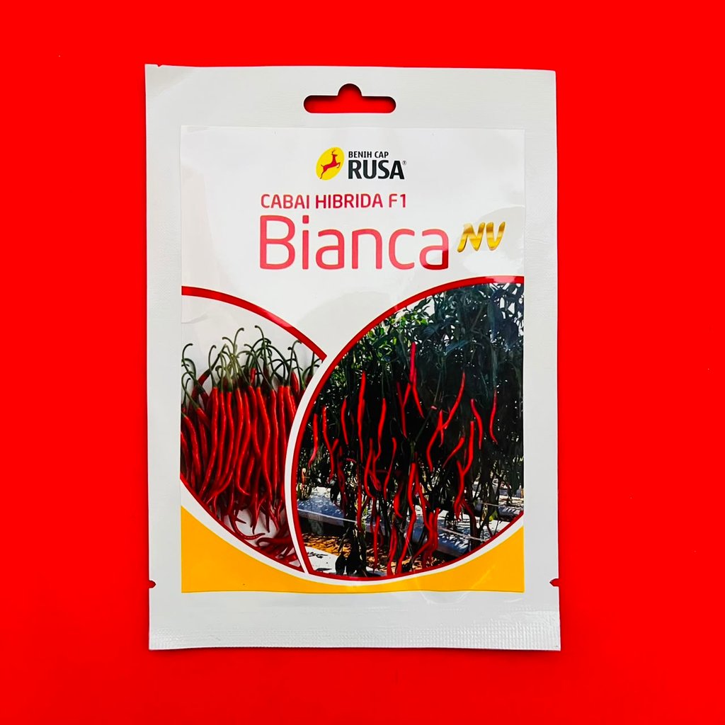 Benih cabai keriting hibrida BIANCA NV isi 10gr tahan serangan patek dari CAP RUSA