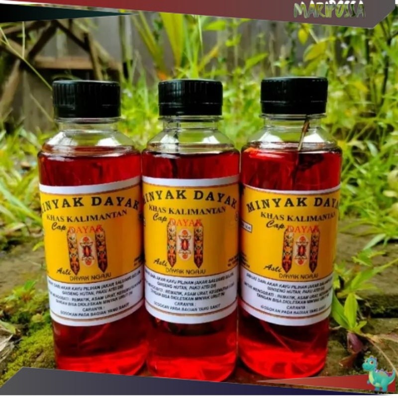READY 0R Minyak Urut Dayak Minyak Urut Dayak Asli Kalimantan Minyak Urut Dayak Ibu Ida Minyak Urut D