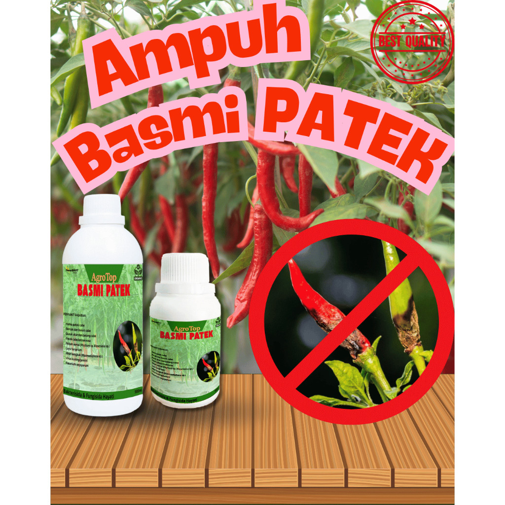 AgroTop AMPUH BASMI PATEK (cacar cabe), fungisida dan bakterisida hayati berkualitas