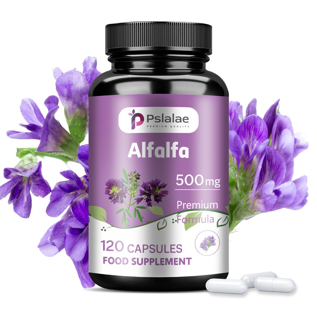 Suplemen Alfalfa, Superfood Hijau 500 mg, Vegetarian, Non-GMO, Bebas Gluten, Cocok untuk Pria dan Wa