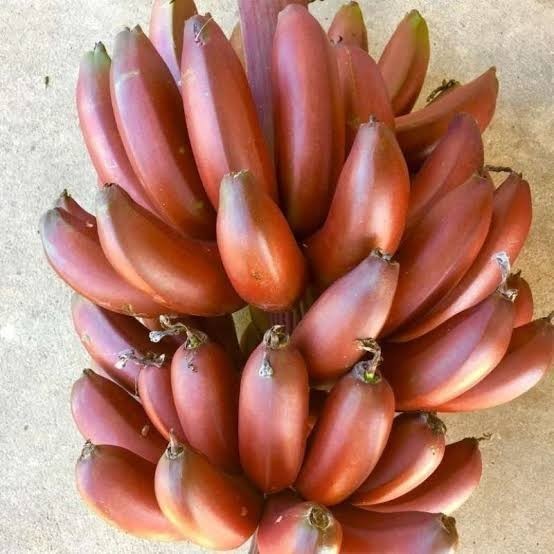 BUAH PISANG MERAH - PISANG GENDIS 1 KG