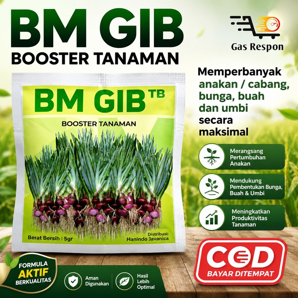 BM GIB  5 gr giberellic acid dan Auxsin ZPT