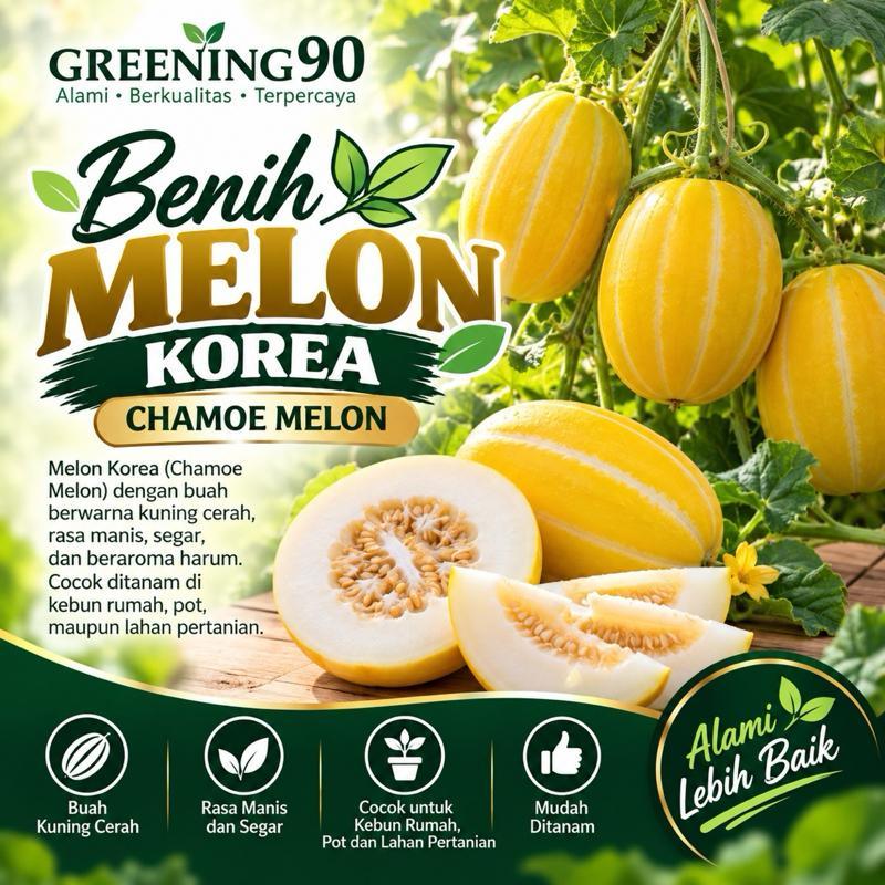 5 biji benih Benih Melon Korea CHAMOE MELON