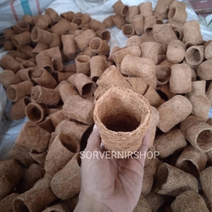 Pot pembibitan anggrek sabut kelapa pot sabut kelapa