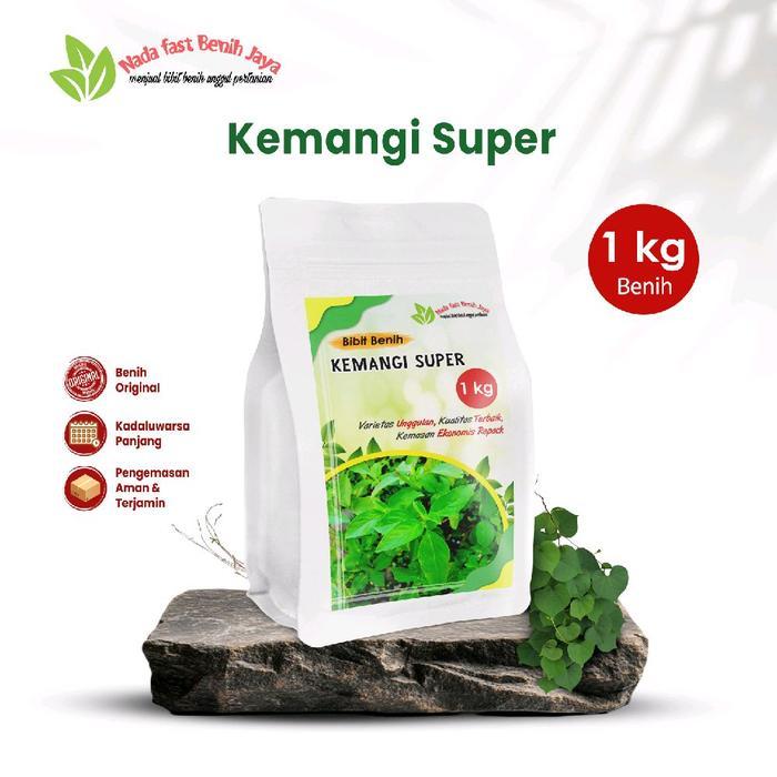 Benih daun kemangi super 1 kg / bibit biji kemangi unggulan benih tanaman sayur - Benih