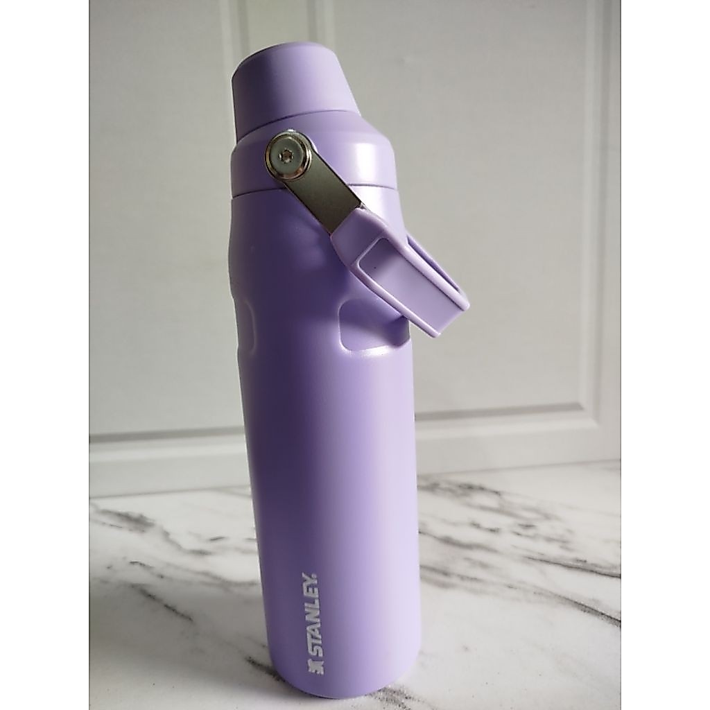 Tumbler Stanley Lilac / ungu