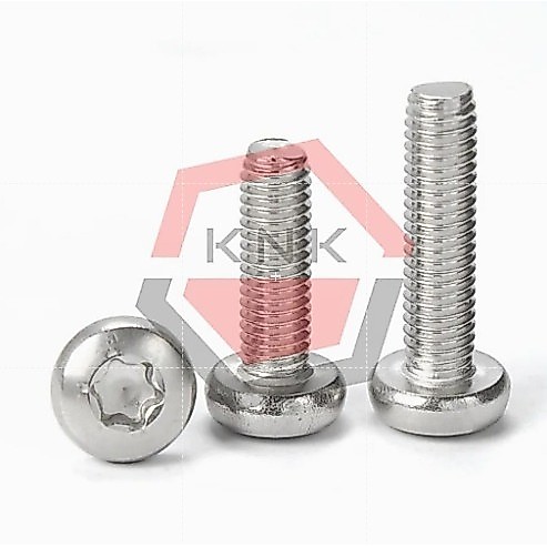 BAUT TORX PAN HEAD M8x30 STAINLESS STEEL