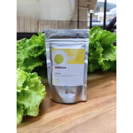 1000 butir benih selada RZ jonction / rz junction / benih bibit selada keriting hijau import belanda