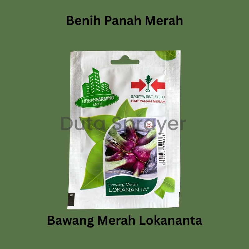 Benih Bawang Merah Lokananta 500 Seeds PP - Benih Panah Merah
