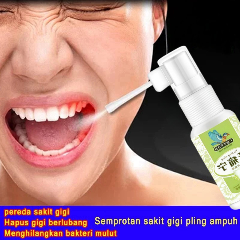 Obat Gigi Berlubang, Penghancur gigi berlubang, gigi sering nyut nyutan, Gusi Bengkak, Gigi Ngilu, R