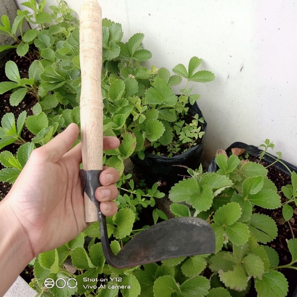 cangkul mini kored pancong peralatan berkebun