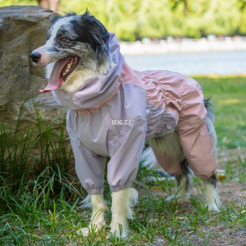 Jas Hujan Anjing Tahan Air Tail Planet COD untuk Anjing Besar, Jaket Border Collie, Pakaian Anjing B
