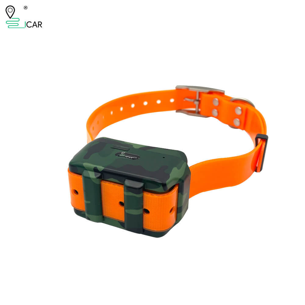 Real-time monitoring collar Gps advanced waterproof pet collar Gps wear-resistant Gps dog fence shoc