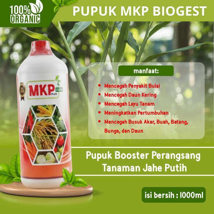 Pupuk MKP Biogest Cair Organik ZPT Penumbuh Daun & Bunga — Pupuk Cair Premium Tanaman Jahe Putih, Pe