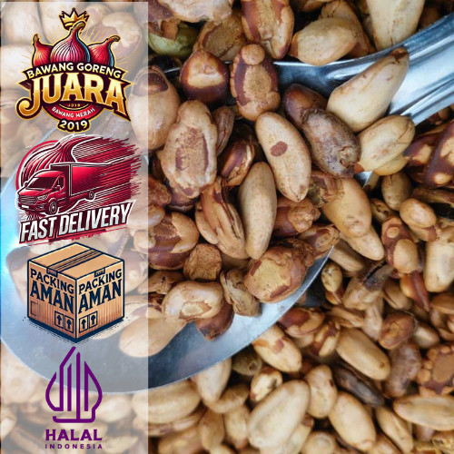 COD Kacang Kedawung 500gr Kacang Kedawung Matang Kacang Kedawung Sangrai Kacang Kedawung Premium