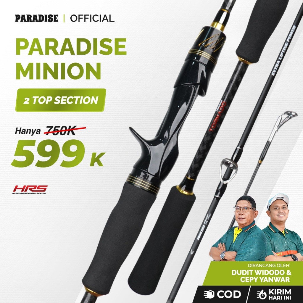 Paradise - Joran Pancing Paradise Minion Joran Spinning Carbon Solid Japan
