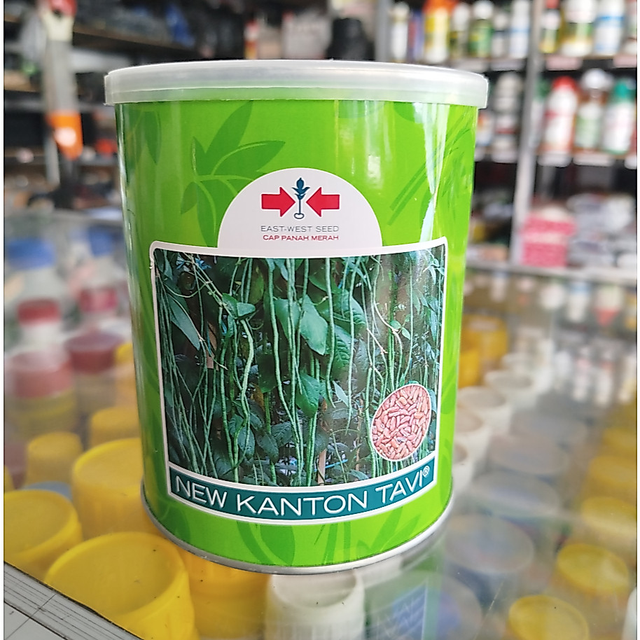 Benih kacang panjang NEW KANTON TAVI 500 GR