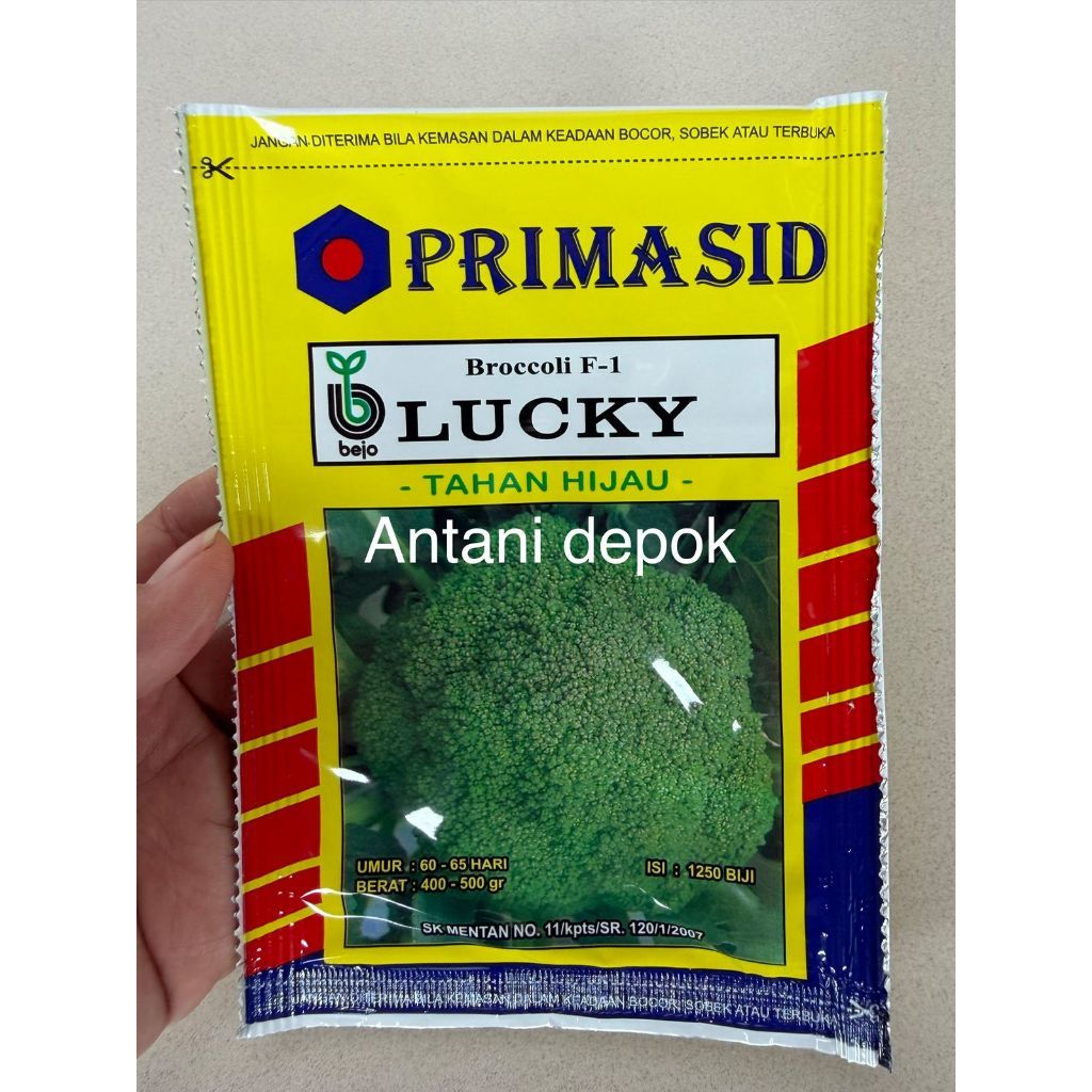 Benih Brokoli BEJO LUCKY Primasid 1250sd