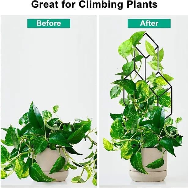 Rambatan Tanaman – Turus Besi 3D Penopang Tanaman Penyangga Rambatan Kuat Anti Karat Cocok Sayuran B