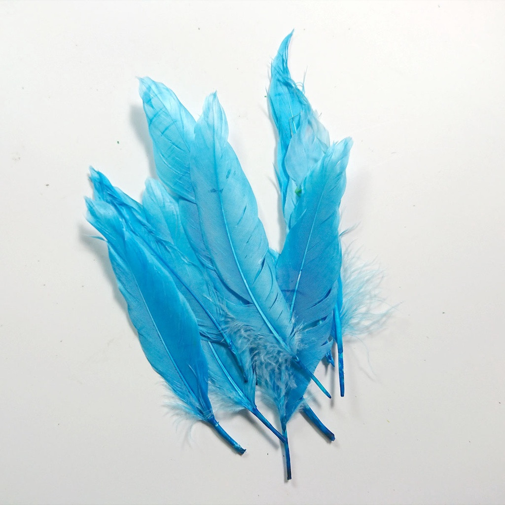 SALE Bulu Ayam Warna Warni / Bulu Ayam Halus / Bulu Ayam Isi Banyak