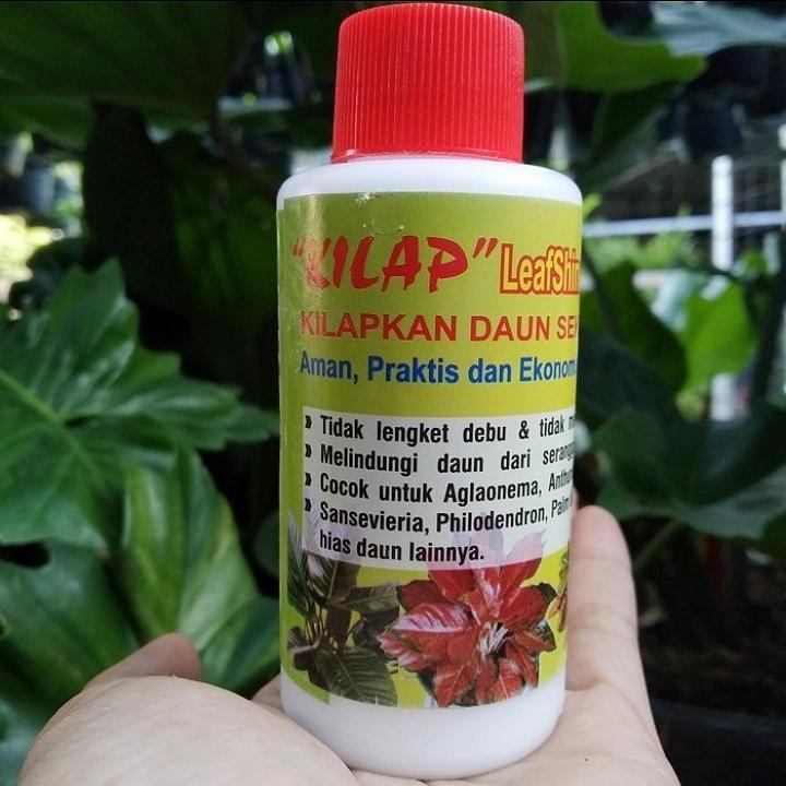 ORIGINAL Kilap Leafsine / Kilap Daun / Kilap Leafshine Pengkilap Daun