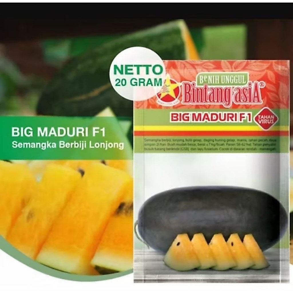Semangka Big Maduri F1 Original