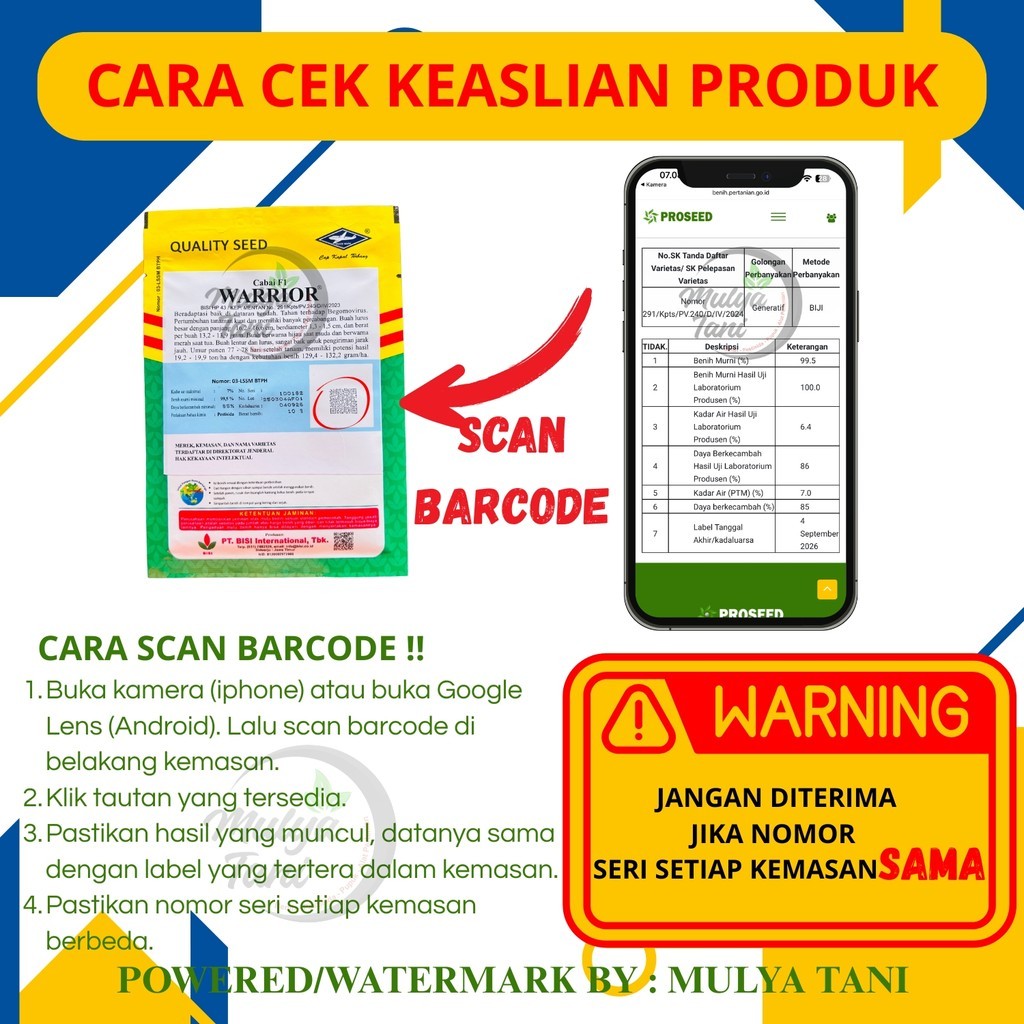 BENIH BIBIT TERONG NEW PRINCE 07 - 10 GRAM TERONG UNGU CAP KAPAL TERBANG PRINCE EPA