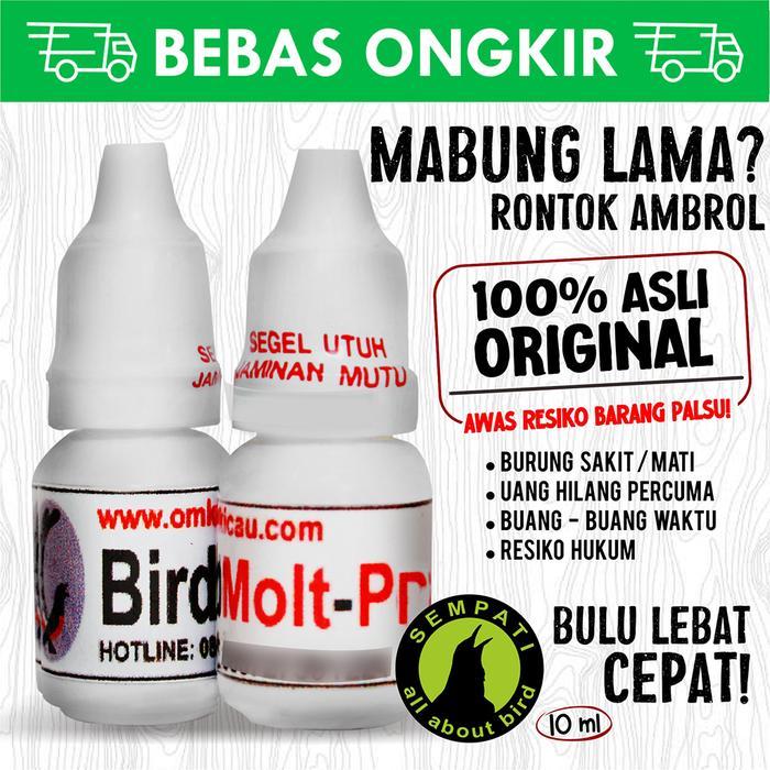 [ burj9iil1v ] || BIRD MOLT PRE OM KICAU OBAT BURUNG SAKIT PENUMBUH BULU BULU RONTOK
