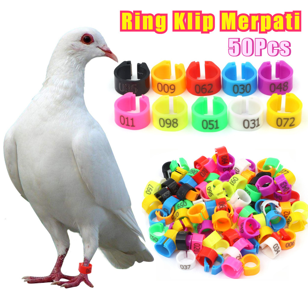 50pcs Ring Klip POLOS buat merpati dewasa RING MERPATI KLIP HARGA Angka acak