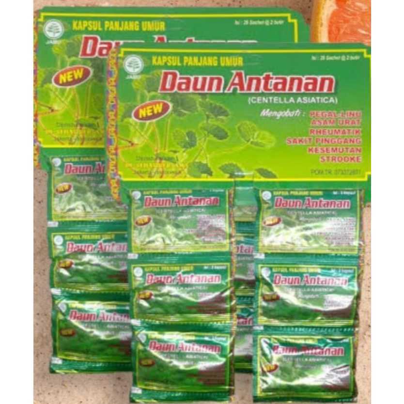 ASLI ORIGINAL   Kapsul Daun Antanan Asli