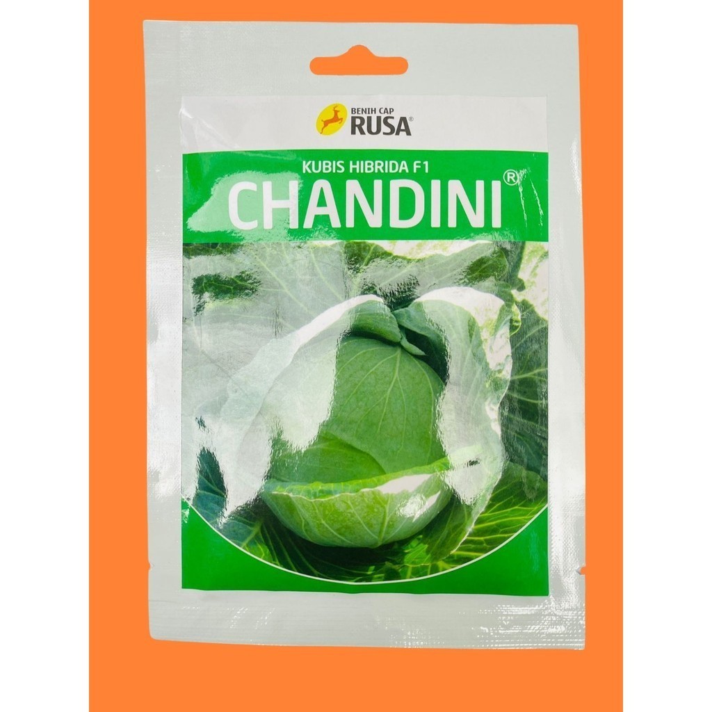 Benih Kubis Hibrida F1 CHANDINI isi 25gr dari CAP RUSA Cocok ditanam di dataran menengah hingga ting