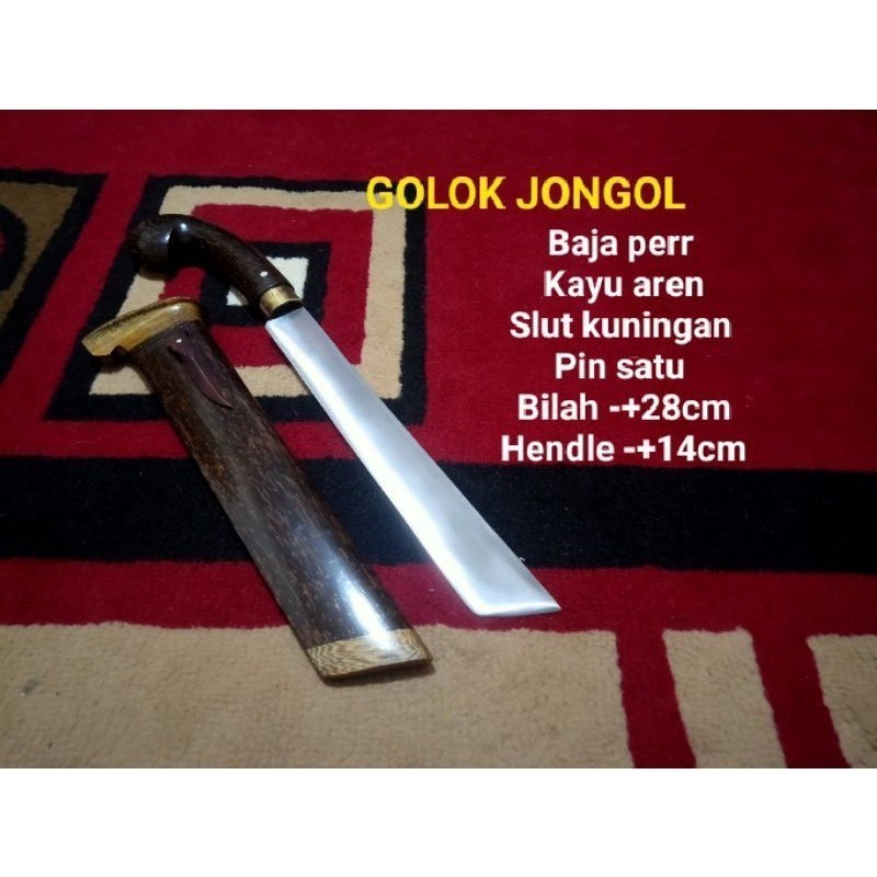 DG JONGOL AREN BEDOG BETAWIAN BEDOG JENGKOLAN