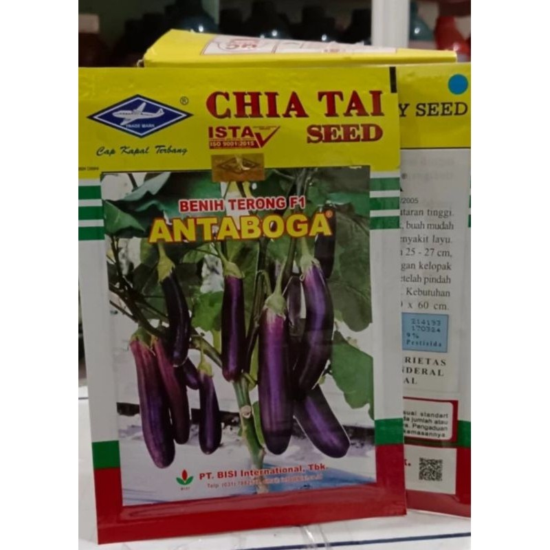 MIRAL_SHOP bibit terong ungu antaboga bisi kapal terbang