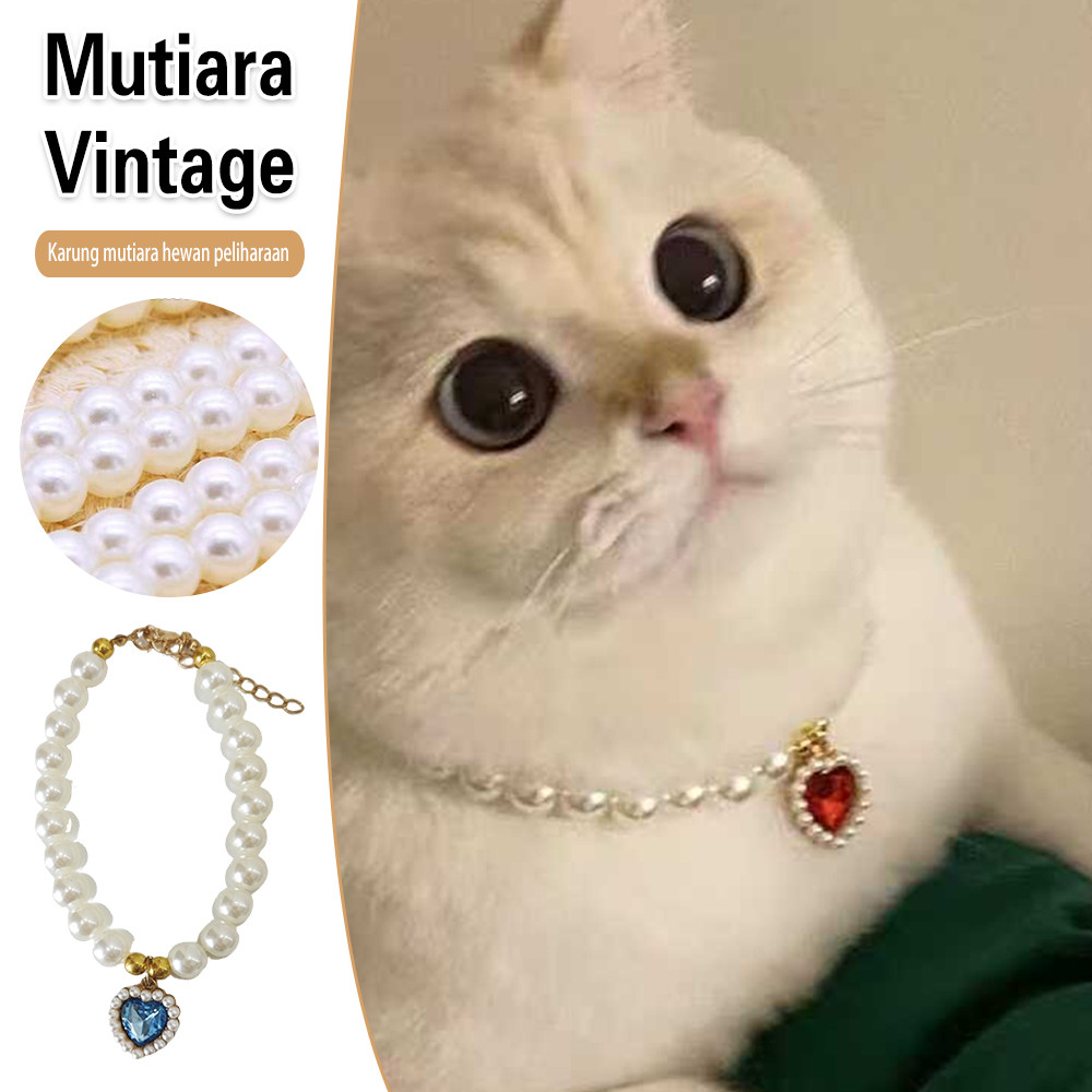 Kalung Lonceng Kucing - Kalung Mutiara Kucing Kalung Kalung Kucing Rantai Mutiara