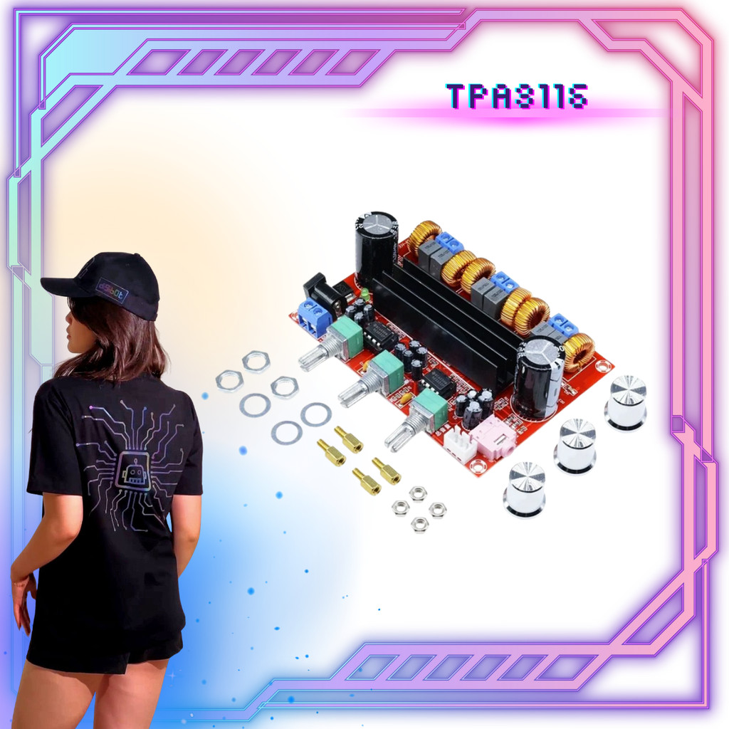 TPA3116 2x50W 100W 2.1ch Amplifier - TPA TPA3116D2 - Digibot Official