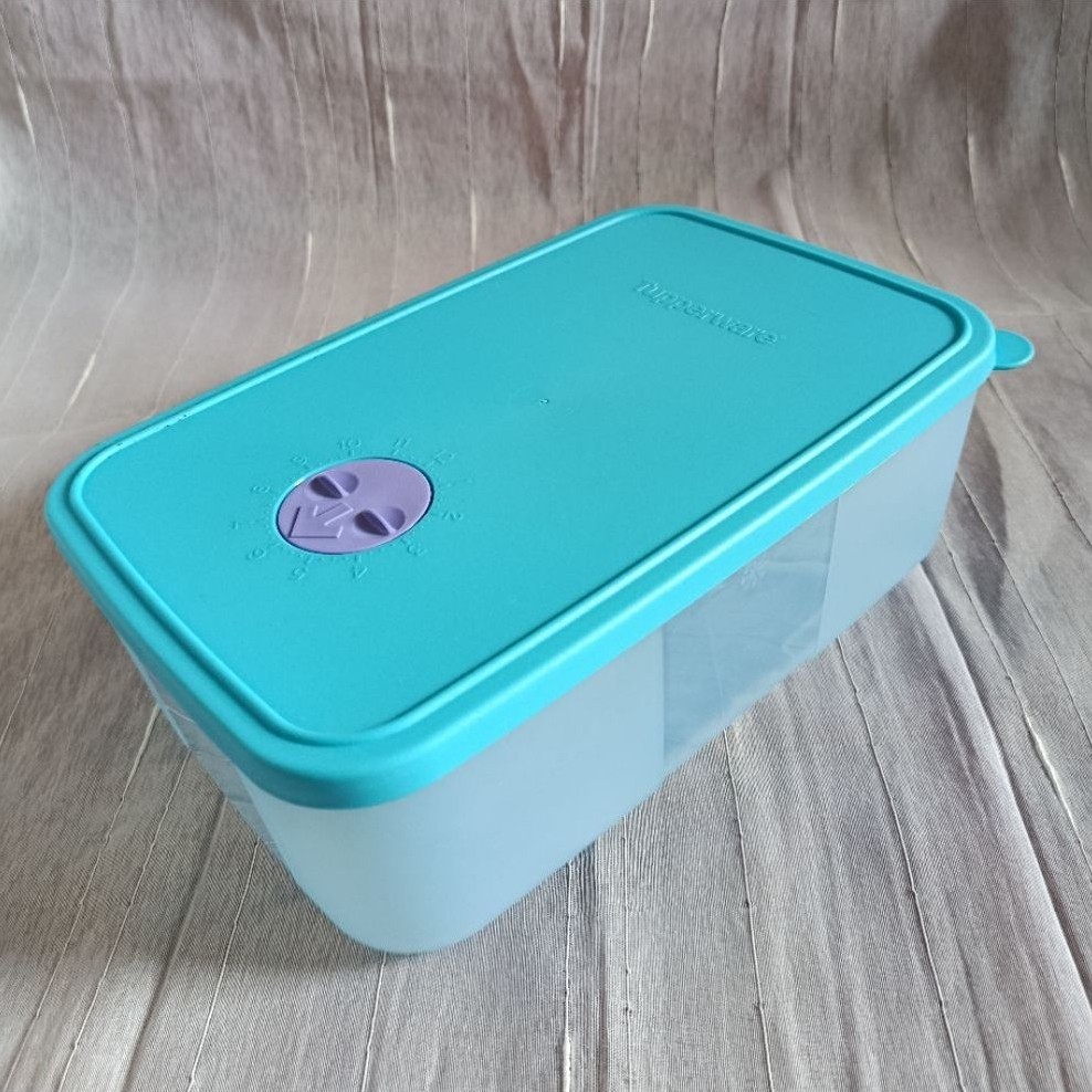Medium Freezermate Tupperware