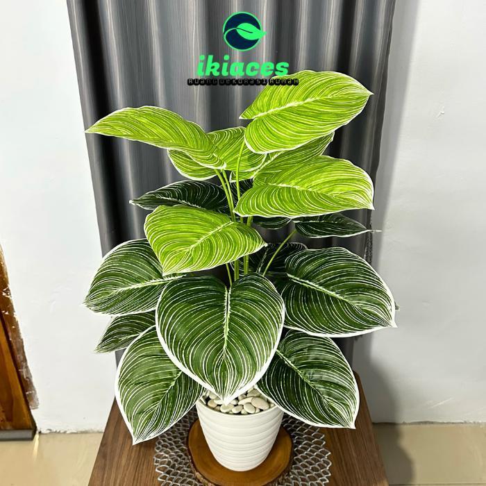 DAUN AGLONEMA PLASTIK DAUN KELADI ARTIFISIAL JUMBO BUNGA SUDUT RUMAH - POT PUTIH