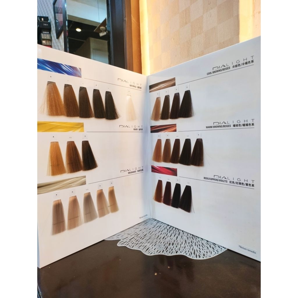 buku katalog cat rambut rambut/buku katalog warna DIA RICHESE/DIA LIGHT /Buku salon buku cat rambut 