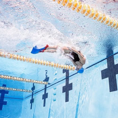 PROMO Finis Long Floating Fins (fins Panjang) TERLARIS