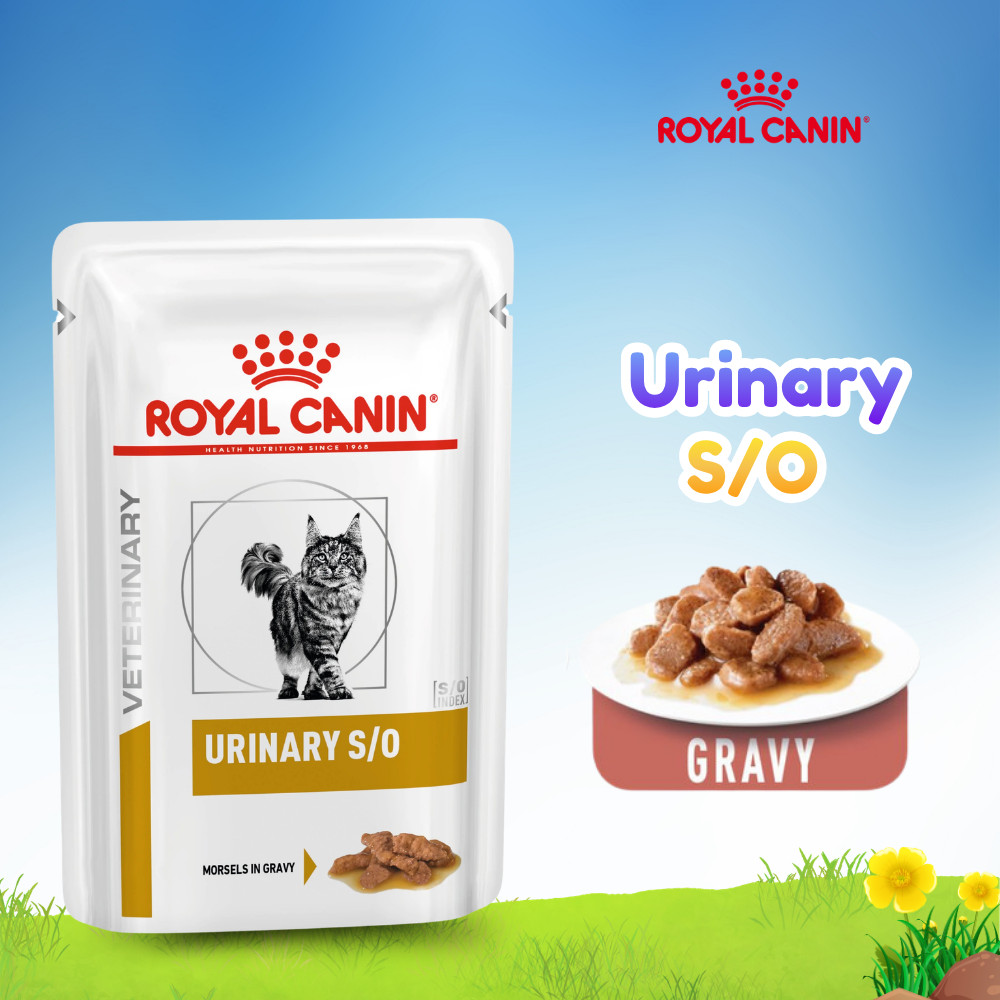 Royal Canin Urinary SO Pouch 85gr Wet Food - Makanan Kucing - RC - POUCH - URINARY SO - GROSIR MURAH