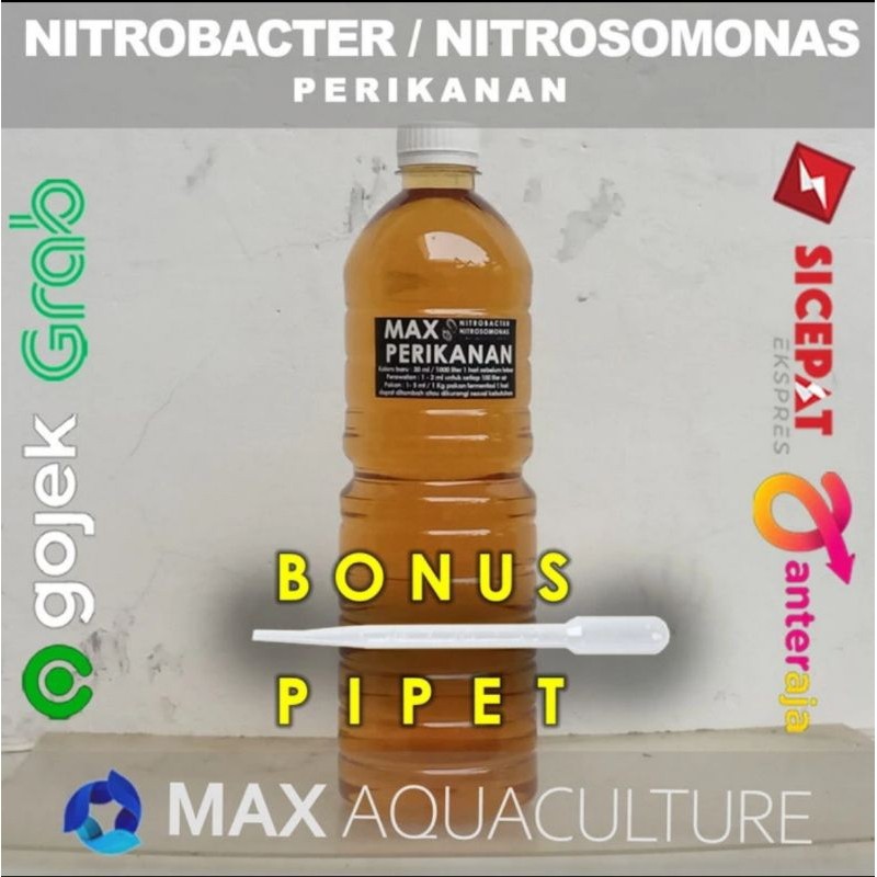 Nitrobacter perikanan untuk perawatan kualitas air dan fermentasi pakan