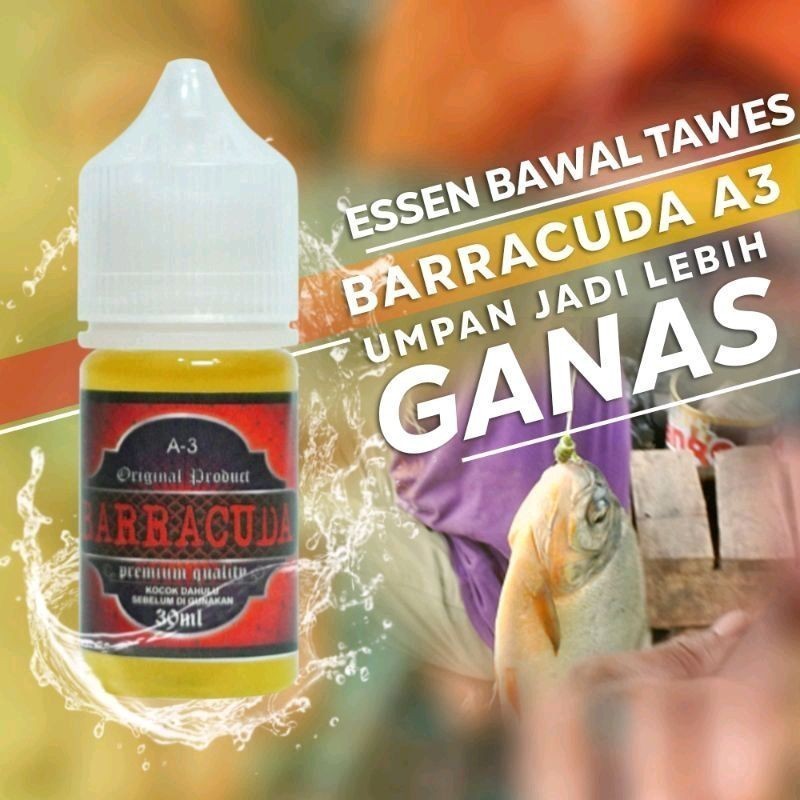 Thailand - Barracuda A Essen Umpan Mancing Ikan Bawal Harian Galatama Induk/Babon   Terbaik
