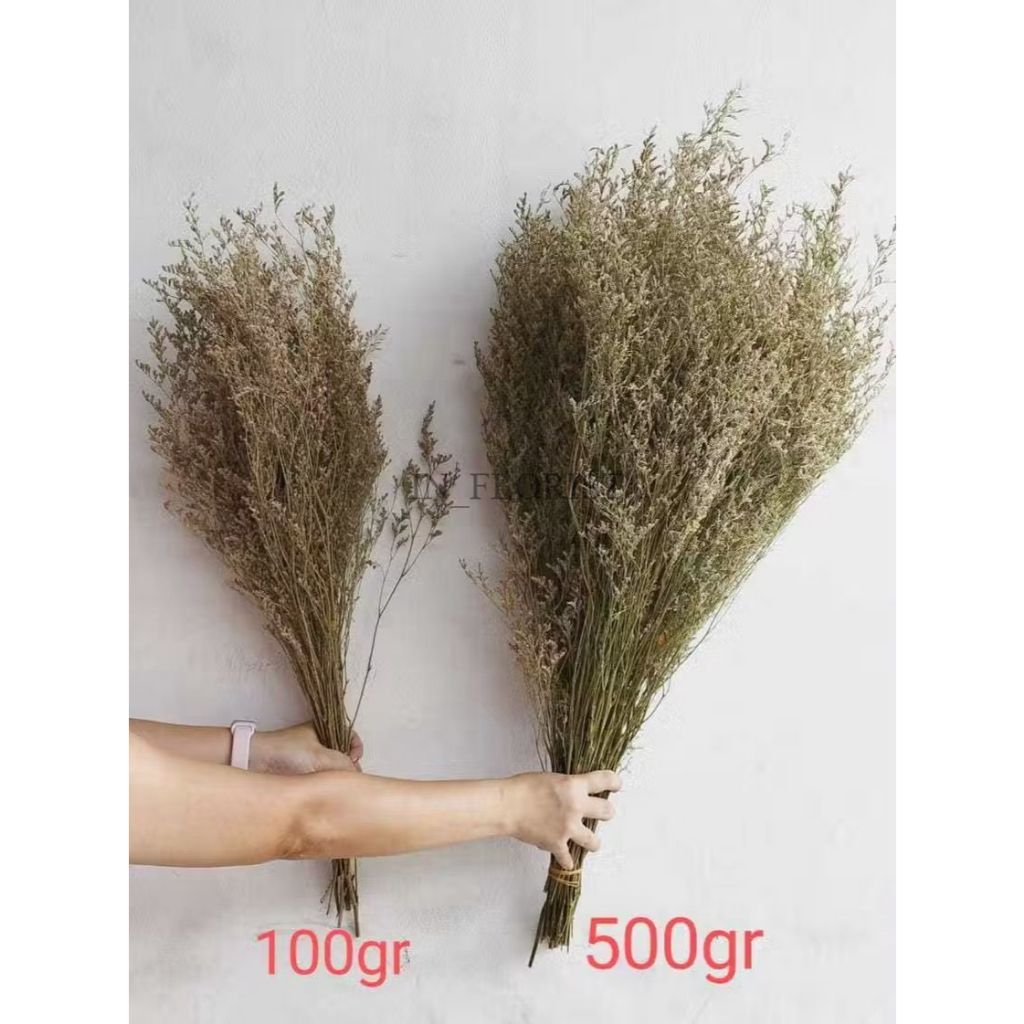 INFLORIST Bunga (Caspea 100 gram) Caspea Dried Flower Caspea Bunga Kering Bahan Buket Bahan Mahar Ba