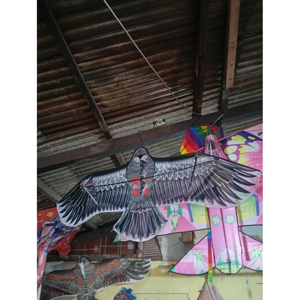 Layangan Burung Elang Jumbo 180cm Anti Robek COD layang layang import unik