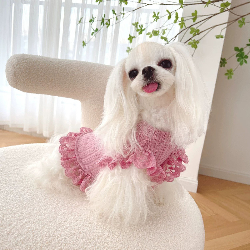 [Pet Wardrobe] Kelas pesanan renda dicelup pakaian pendek Malzombie beruang anjing kucing pakaian