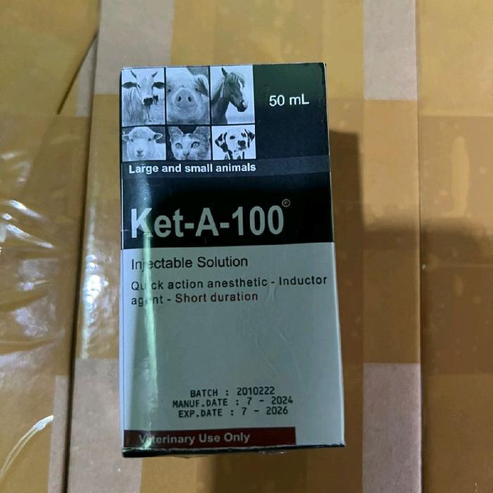 Ket-A 100 injeksi asli khusus obat hewan ternak