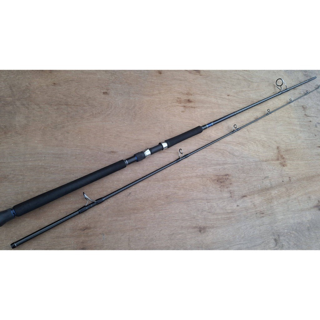 SECOND SHORE JIGGING CASTING POPPING ROD SHIMANO COLTSNIPER XTUNE S1002H