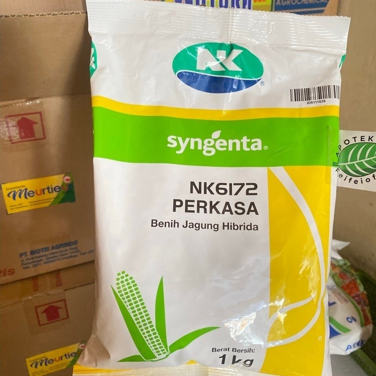 JAGUNG NK 6172 PERKASA / BENIH JAGUNG NK PERKASA / BENIH JAGUNG NK6172 PERKASA ORIGINAL 100%