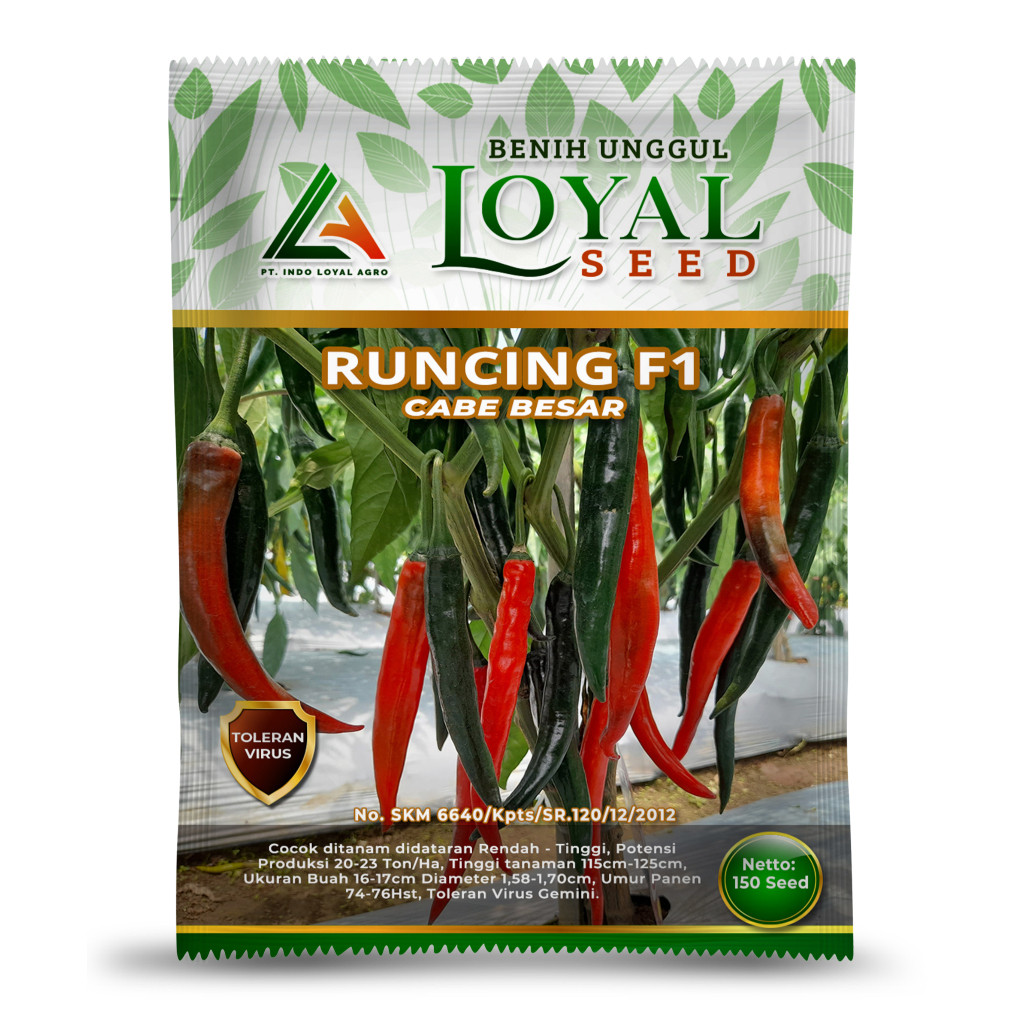 BENIH CABE BESAR UNGGUL RUNCING 10 GRAM CAP LOYAL SEED