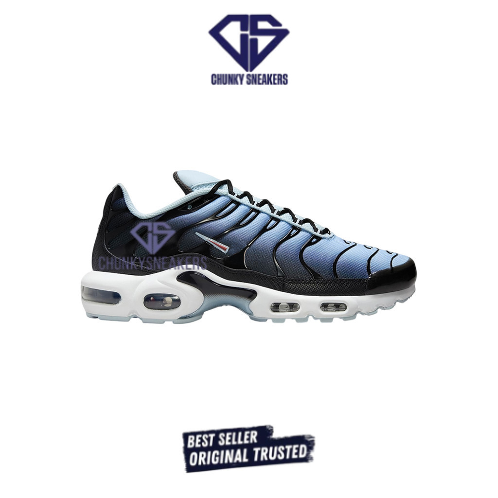 Sepatu Nike Airmax Plu TN Blue Tint Iron Grey 100% Original BNIB